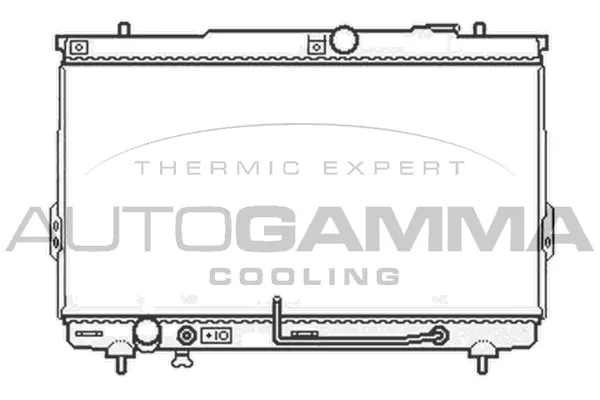 Radiator, engine cooling (104065)