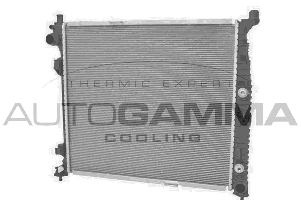Radiator, engine cooling (107958)