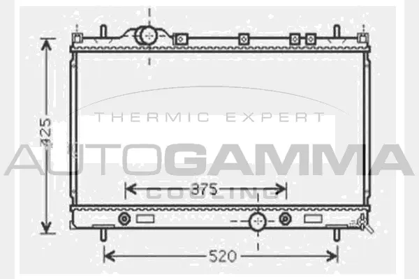 Radiator, engine cooling (104632)