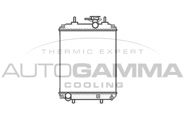 Radiator, engine cooling (105790)
