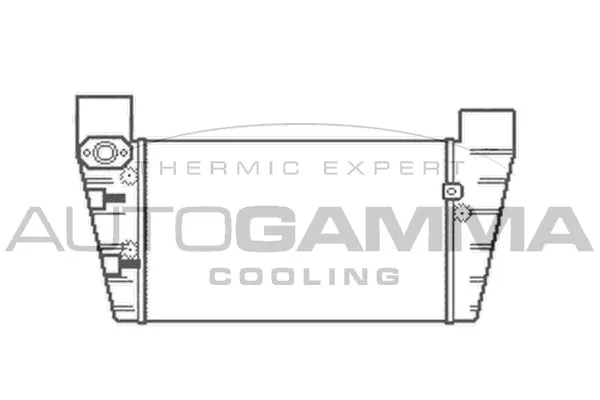 Charge Air Cooler (103599)