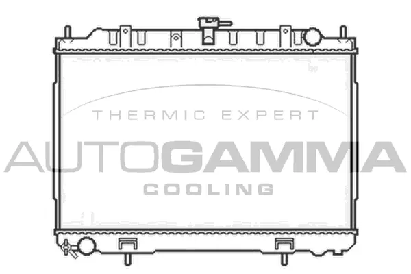 Radiator, engine cooling (103349)