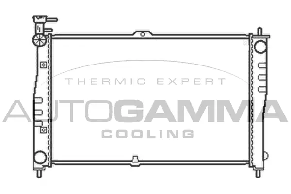 Radiator, engine cooling (103609)