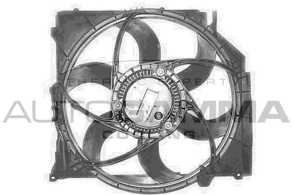 Fan, engine cooling (GA200799)