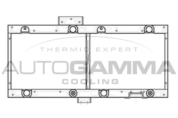 Radiator, engine cooling (404998)