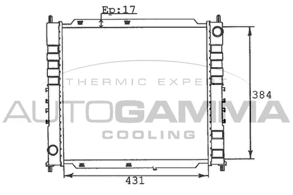 Radiator, engine cooling (100421)