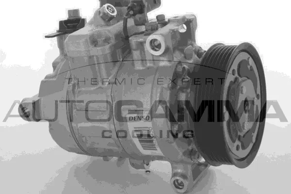 Compressor, air conditioning (118579)