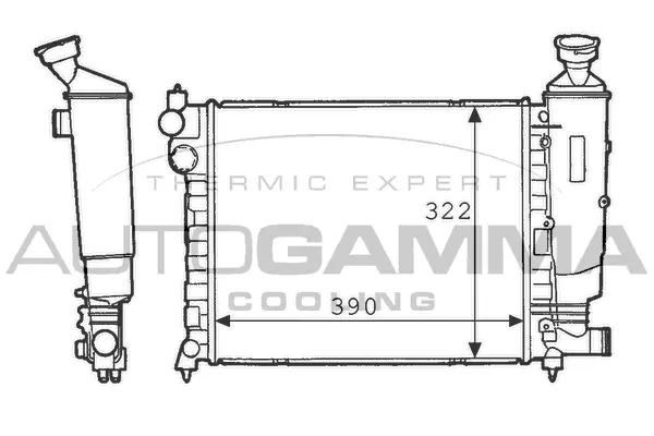 Radiator, engine cooling (100733)