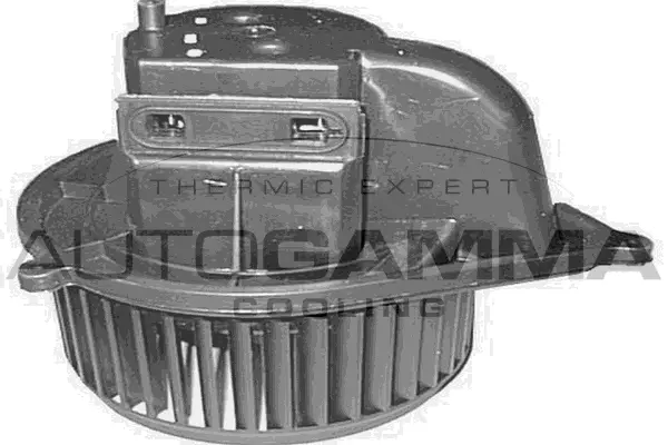 Interior Blower (GA20172)