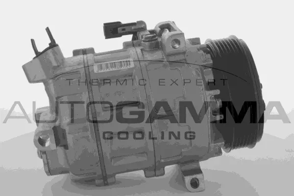 Compressor, air conditioning (118575)
