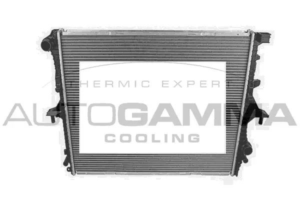 Radiator, engine cooling (103943)