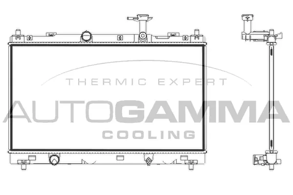 Radiator, engine cooling (107848)