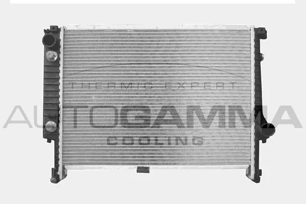 Radiator, engine cooling (101124)