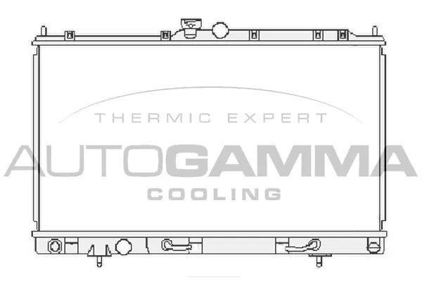 Radiator, engine cooling (104854)