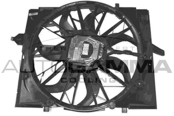 Fan, engine cooling