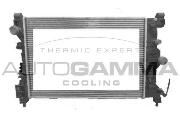 Radiator, engine cooling (107686)
