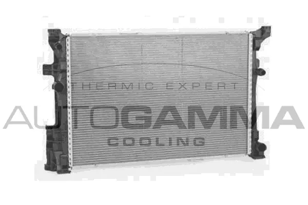 Radiator, engine cooling (107165)
