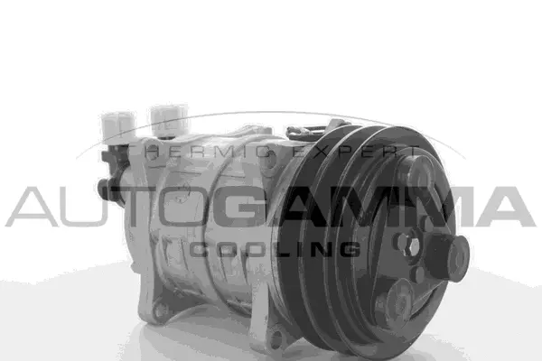 Compressor, air conditioning (109263)