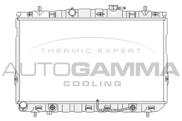 Radiator, engine cooling (104077)