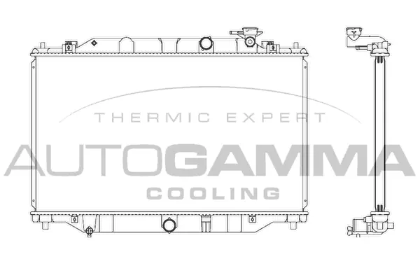 Radiator, engine cooling (107273)