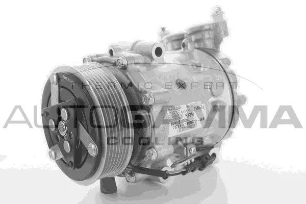 Compressor, air conditioning (118444)