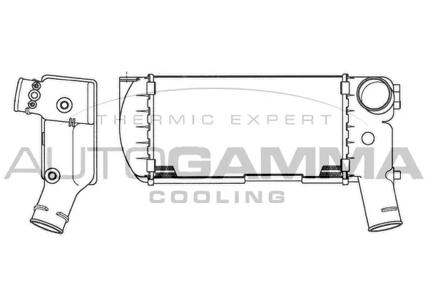Charge Air Cooler (101860)