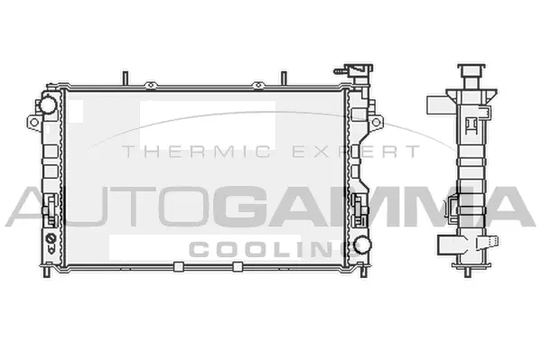 Radiator, engine cooling (102862)