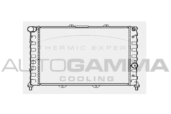 Radiator, engine cooling (101145)