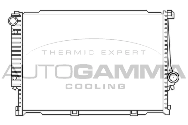 Radiator, engine cooling (100133)