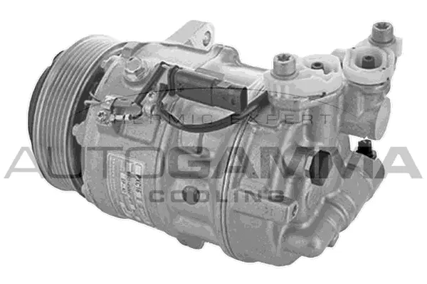 Compressor, air conditioning (118749)
