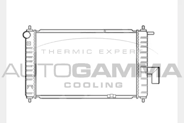 Radiator, engine cooling (103697)