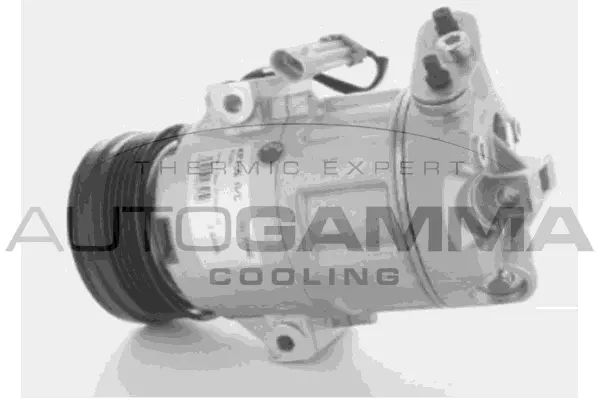 Compressor, air conditioning (108010)