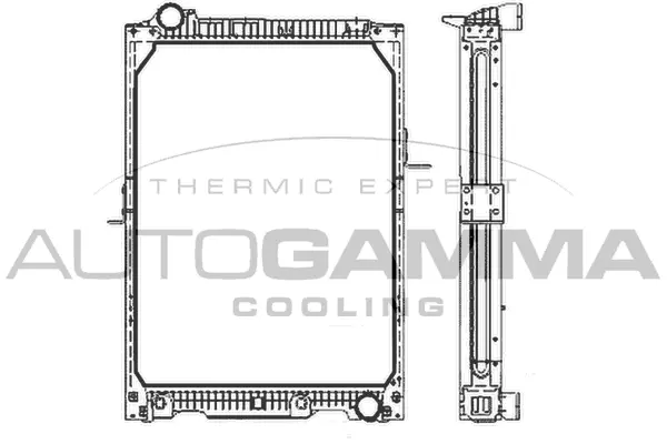 Radiator, engine cooling (404366)
