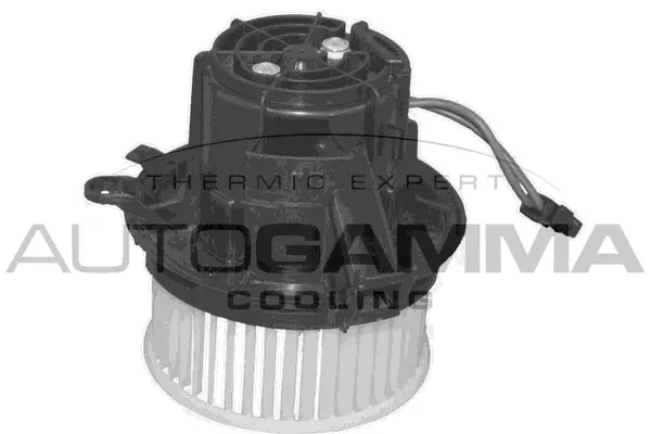 Interior Blower (GA36015)