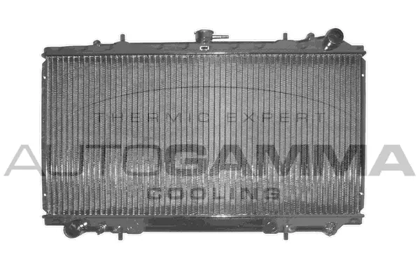 Radiator, engine cooling (103696)