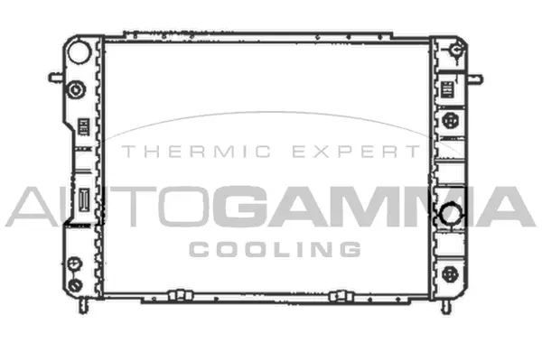 Radiator, engine cooling (102259)