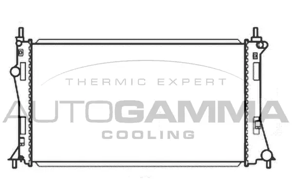 Radiator, engine cooling (107197)