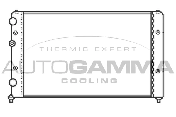 Radiator, engine cooling (102381)