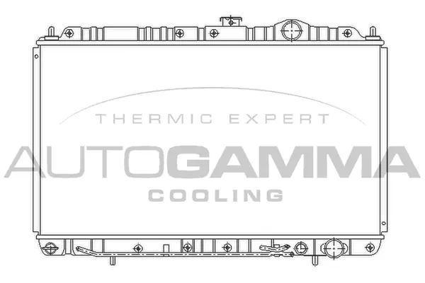 Radiator, engine cooling (103957)