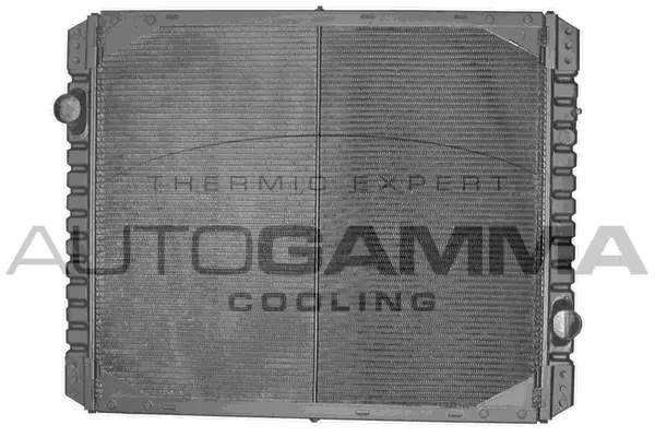Radiator, engine cooling (400470)