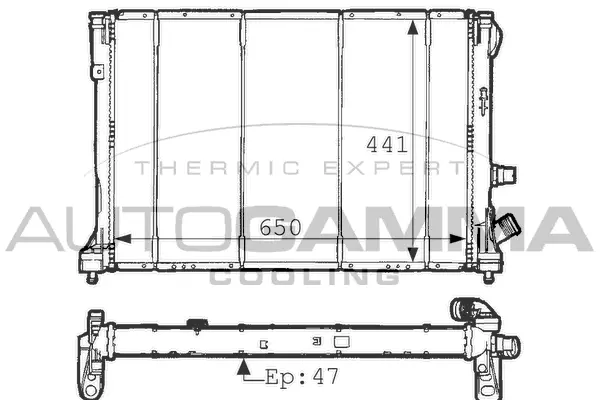 Radiator, engine cooling (100891)