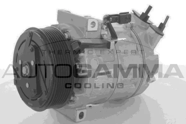 Compressor, air conditioning (118574)