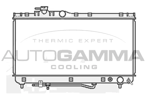 Radiator, engine cooling (107055)