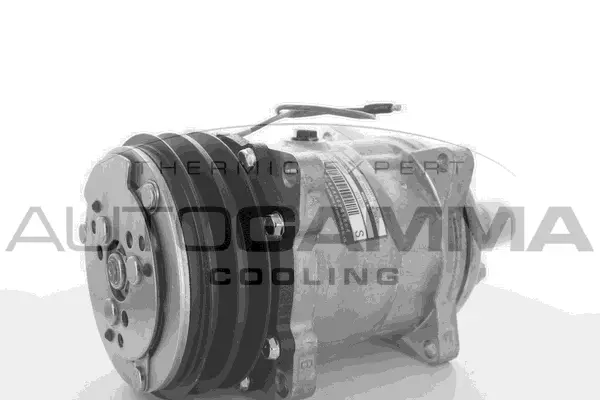 Compressor, air conditioning (109107)