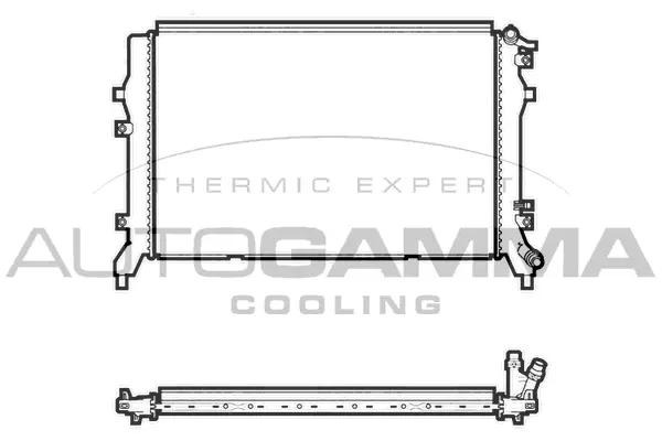 Radiator, engine cooling (107437)