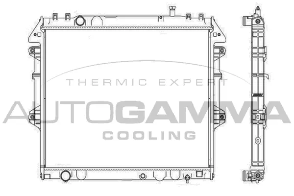 Radiator, engine cooling (107457)