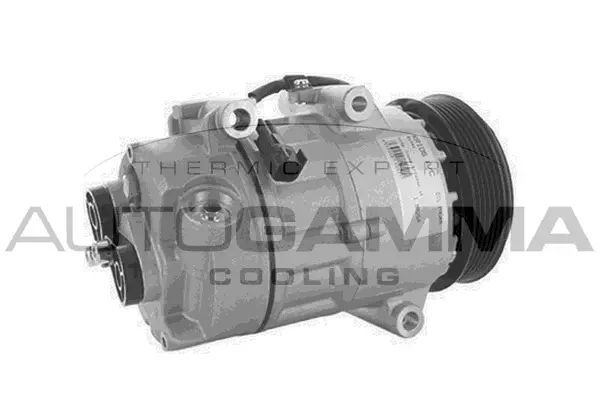 Compressor, air conditioning (108109)