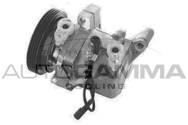 Compressor, air conditioning (118716)