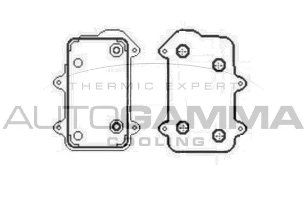 Oil Cooler, engine oil (104793)
