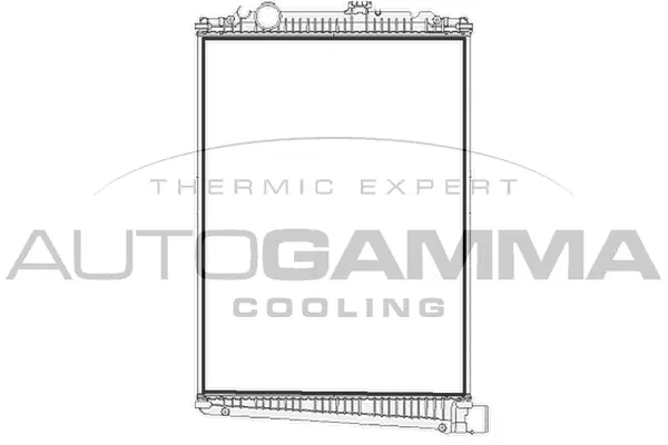 Radiator, engine cooling (404630)